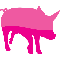 pig 9 icon