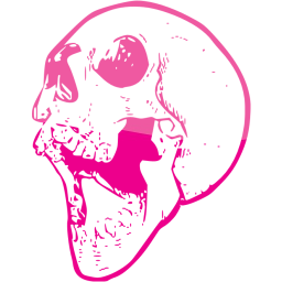 skull 21 icon