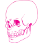 skull 38