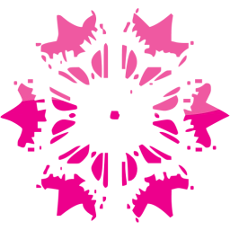 snowflake icon