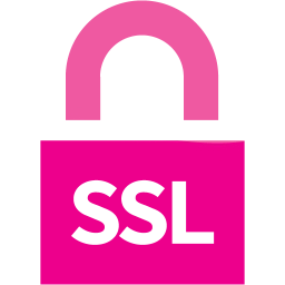 ssl badge 4 icon