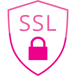 ssl badge icon