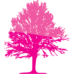 tree 24 icon