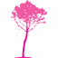 tree 34
