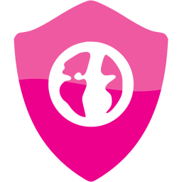 web shield icon