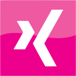 xing 2 icon