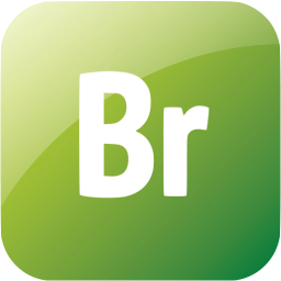 adobe br icon