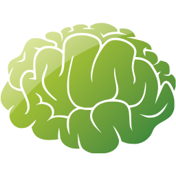 brain 2 icon