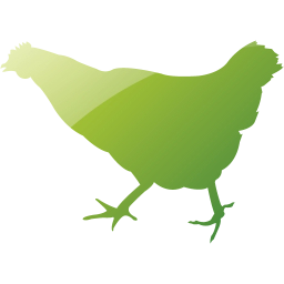 chicken 2 icon