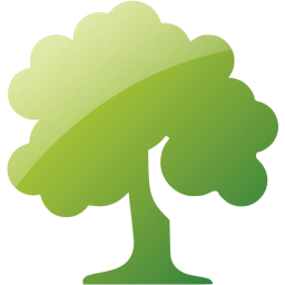 deciduous tree icon