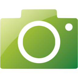 google images icon