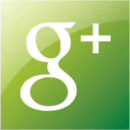 google plus 2 icon