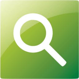 google web search icon