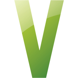 letter v icon