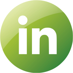 linkedin 4 icon