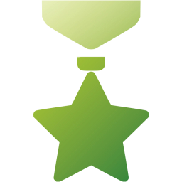 medal icon