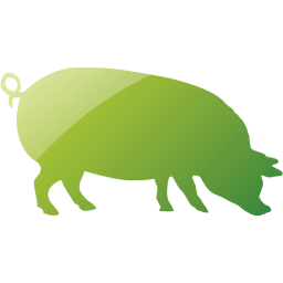 pig 4 icon