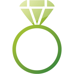 ring 2 icon