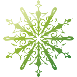 snowflake 10 icon