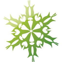 snowflake 30 icon