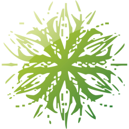 snowflake 32 icon