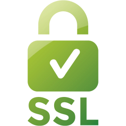 ssl badge 2 icon