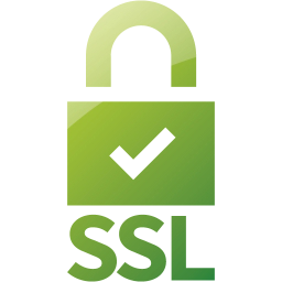 ssl badge 5 icon