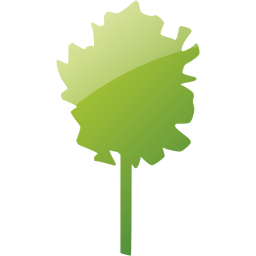 tree 12 icon