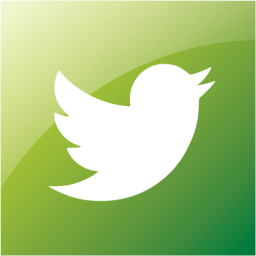 twitter 2 icon