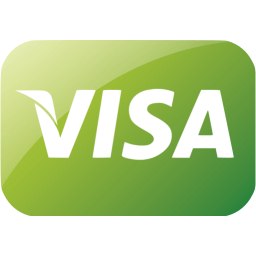 visa icon