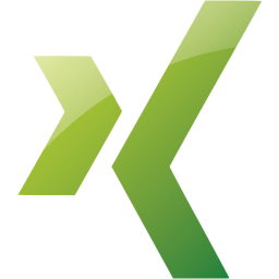 xing icon