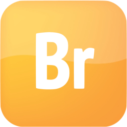 adobe br icon