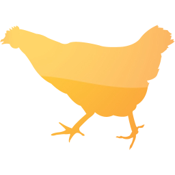 chicken 2 icon