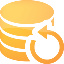 data backup icon