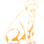 dog 13