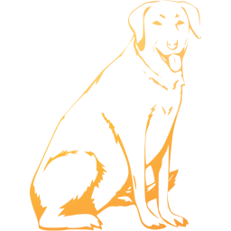 dog 13 icon