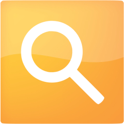 google web search icon