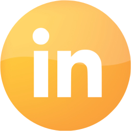 linkedin 4 icon