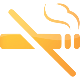 no smoking icon