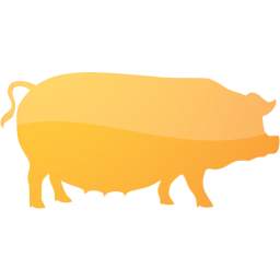 pig 3 icon