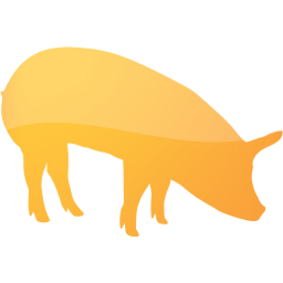 pig 5 icon