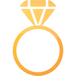 ring 2 icon