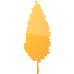 tree 50 icon