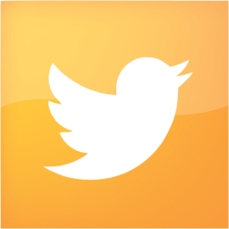 twitter 2 icon