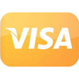 visa icon