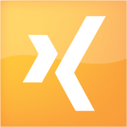 xing 2 icon