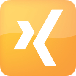 xing 3 icon