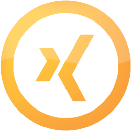 xing 5 icon