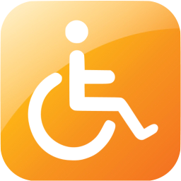 accessibility icon