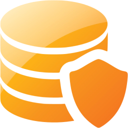 data protection icon